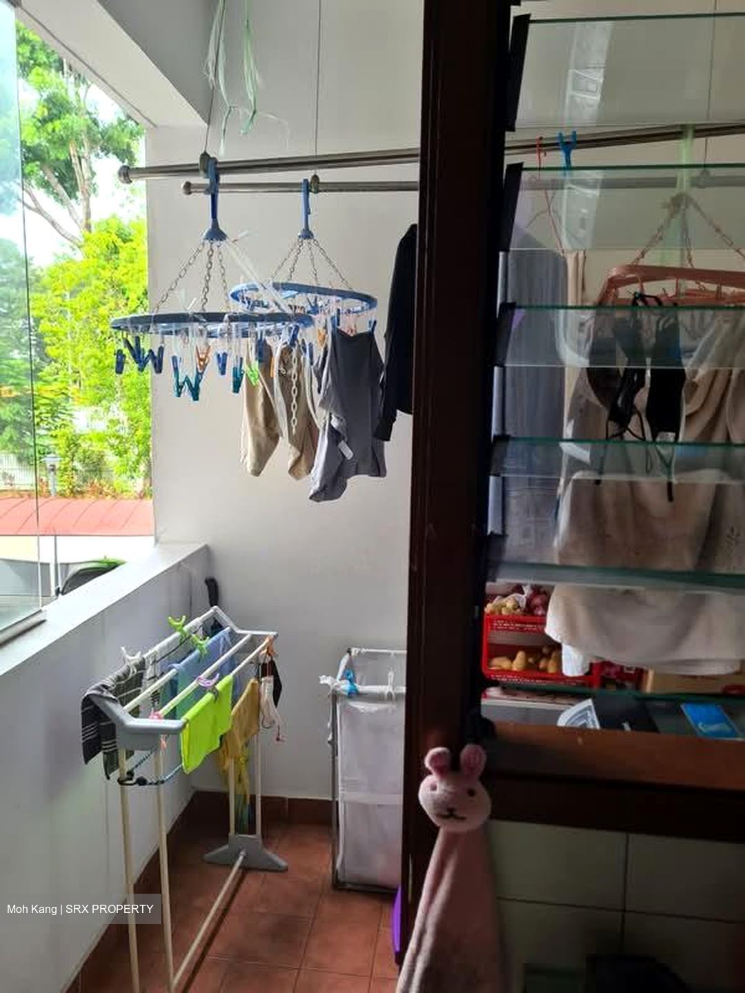 Carissa Park Condominium (D17), Condominium #548143351